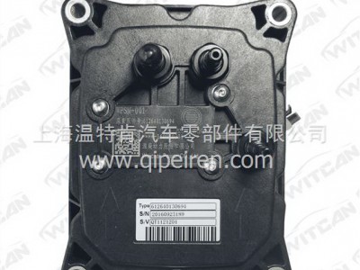 尿素泵总成 612640130694 秦泰扁头 潍柴自主 612640130694