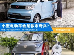 小型电动车会是新能源车市的救市奇兵？